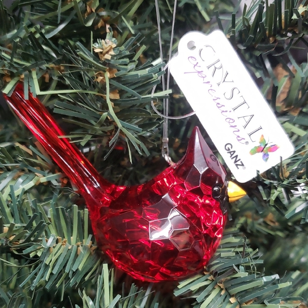 Ganz Crystal Expressions NWT Faceted Acrylic Cardinal Ornament
